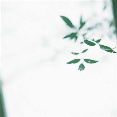 百科达人手机版下载